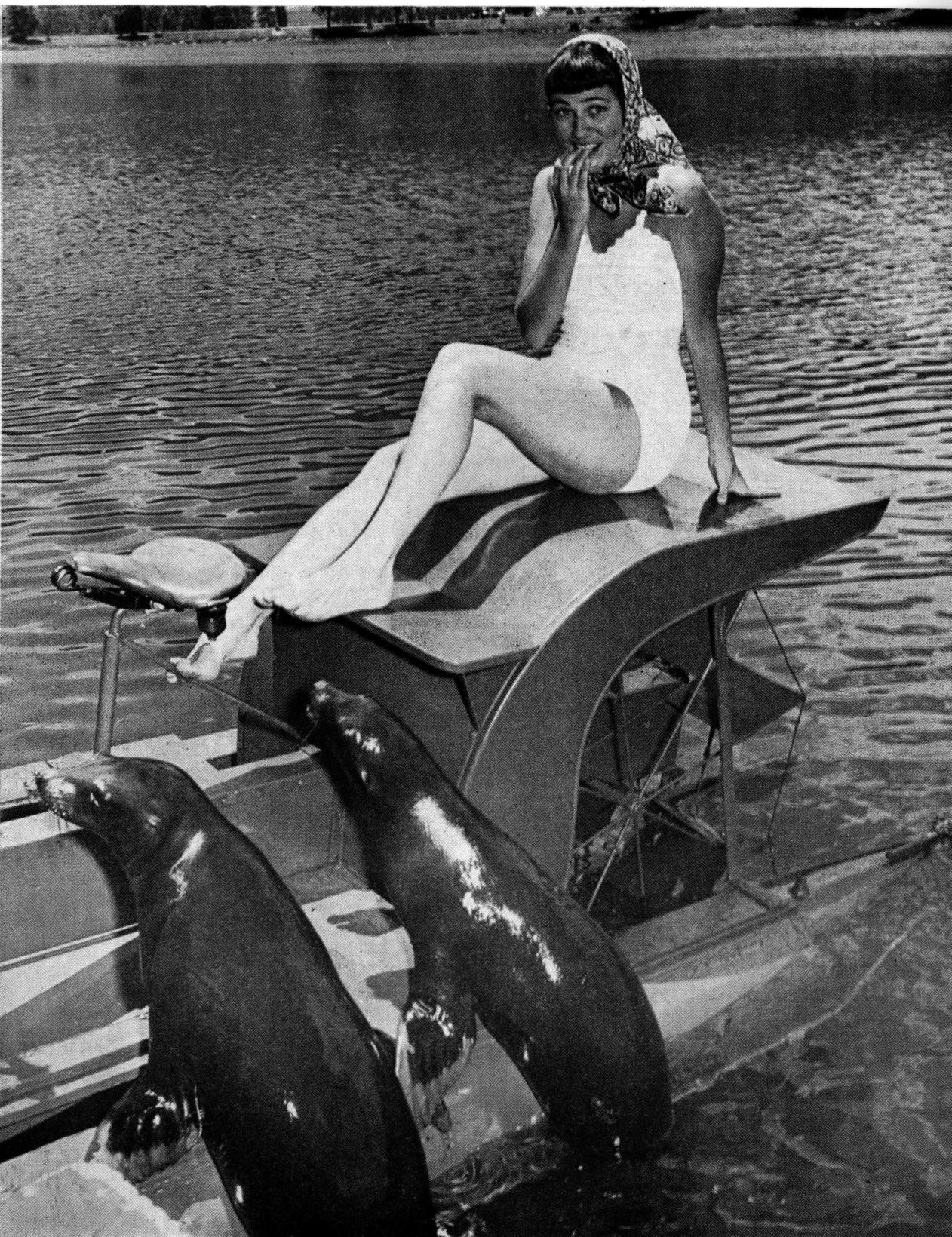 broadmoor sea lions.jpg